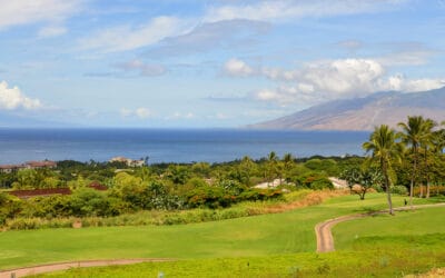 NEW WAILEA LUXURY CONDO LISTING